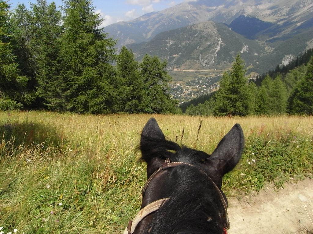 Gite Montagne Mercantour Villa Valdeblore Exteriör bild
